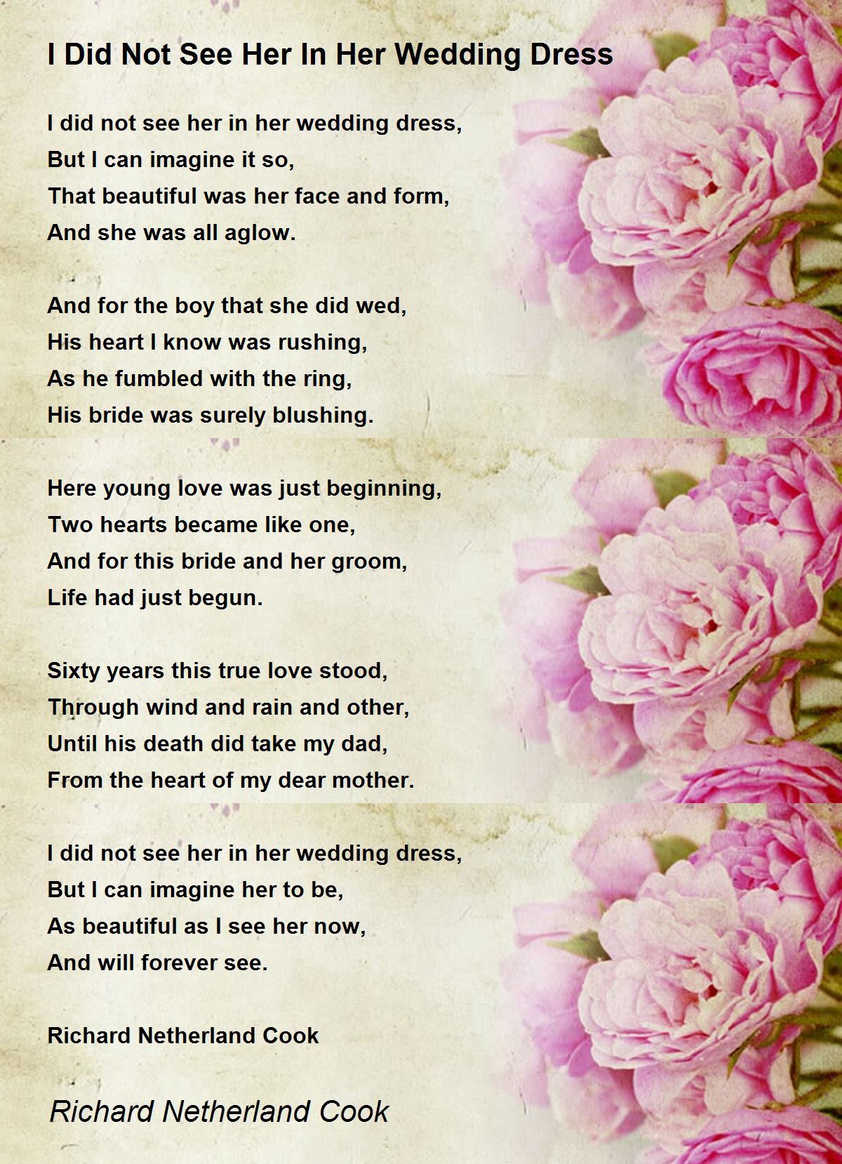 I Did Not See Her In Her Wedding Dress I Did Not See Her In Her