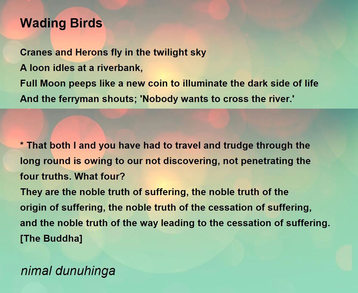 Wading Birds by nimal dunuhinga Wading Birds Poem