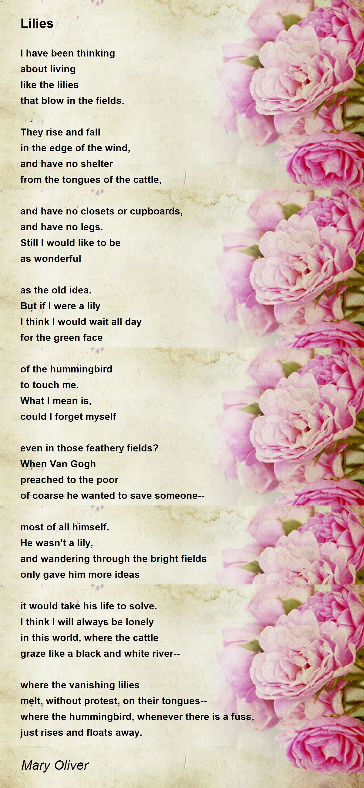 Lilies Poem by Mary Oliver - Poem Hunter