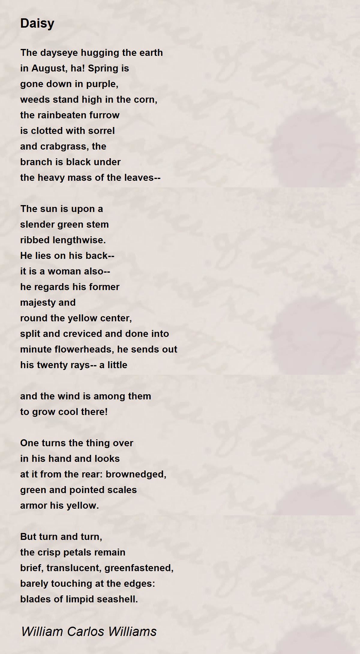 Daisy Daisy Poem by William Carlos Williams