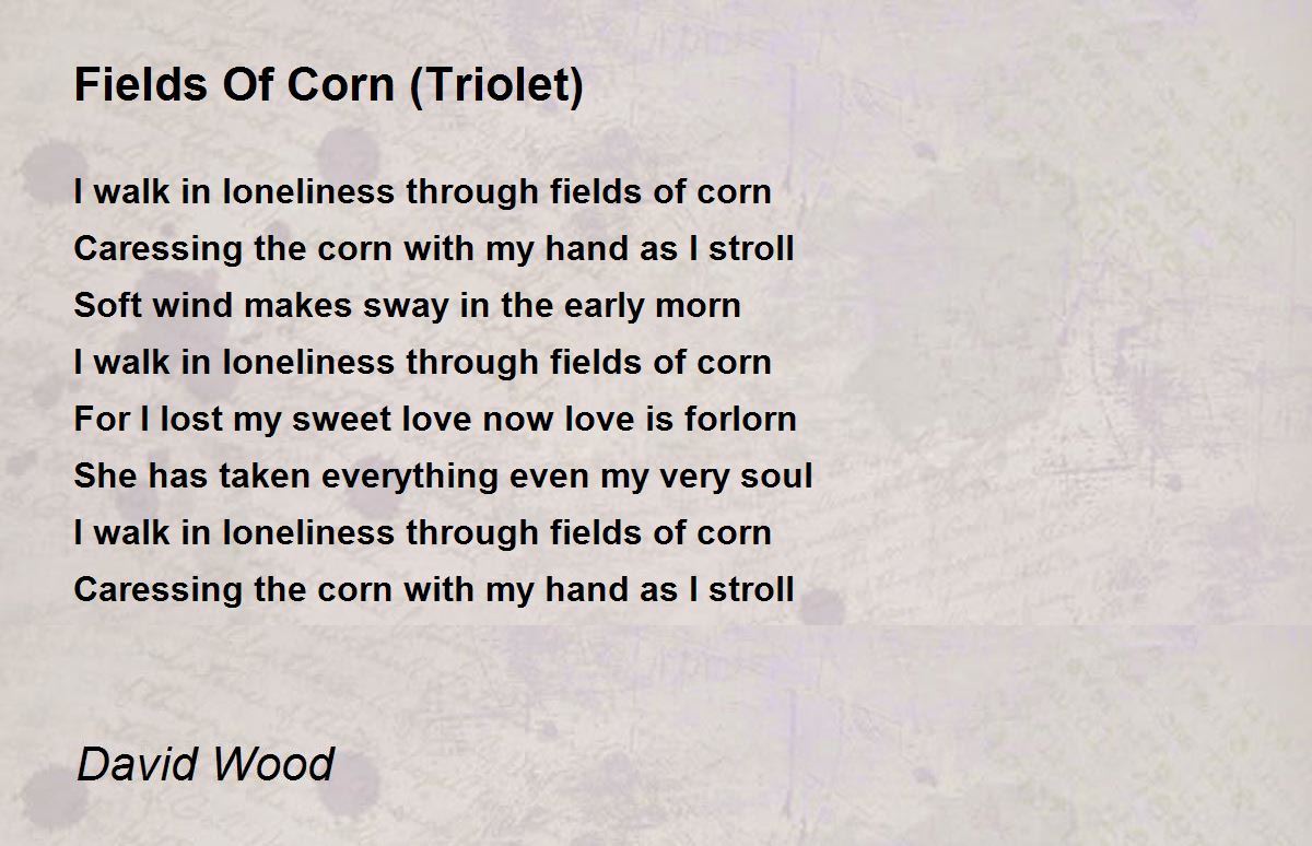 Fields Of Corn (Triolet) Fields Of Corn (Triolet) Poem by David Wood