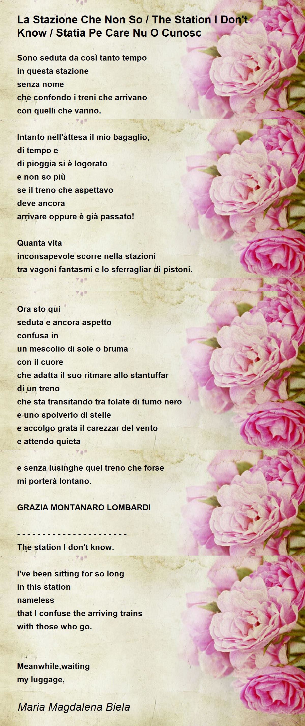La Stazione Che Non So The Station I Don T Know Statia Pe Care Nu O Cunosc By Magdalena Biela La Stazione Che Non So The Station I Don T