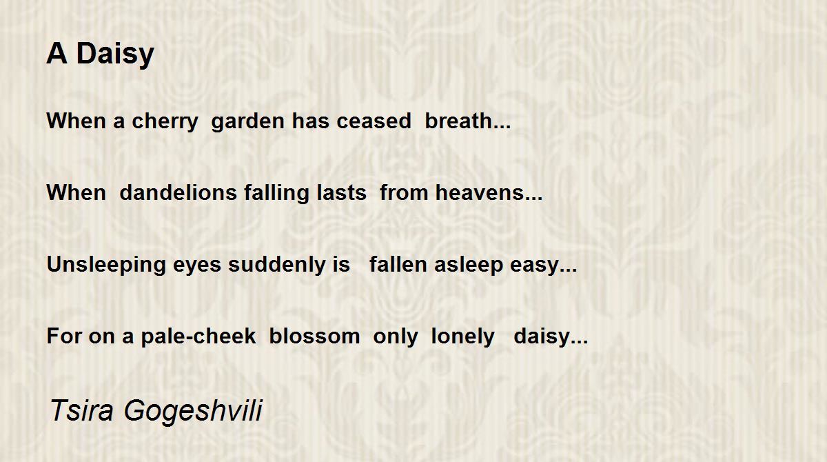 A Daisy A Daisy Poem by Tsira Gogeshvili