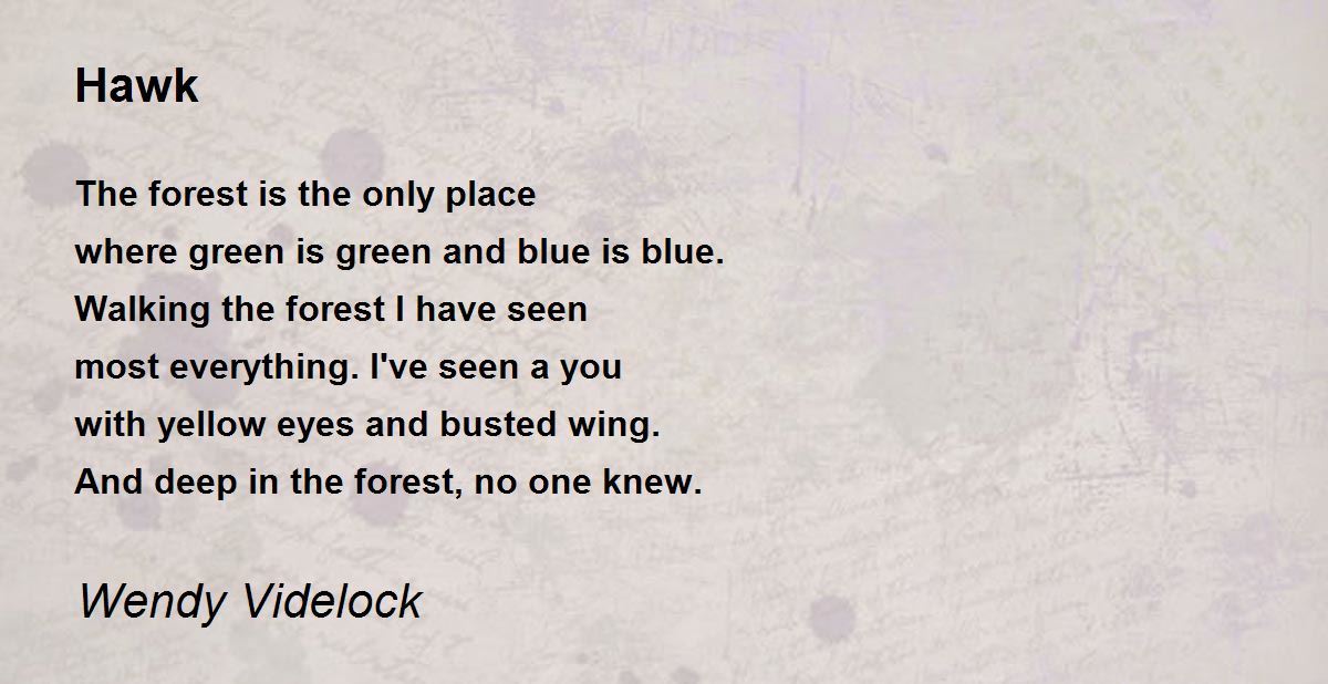 Hawk Poem by Wendy Videlock - Poem Hunter
