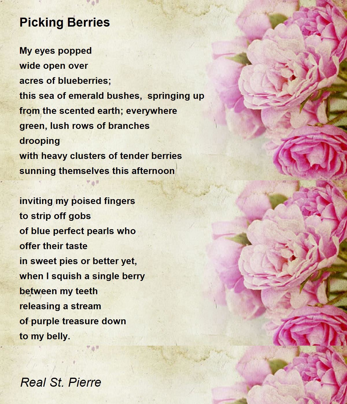 Picking Berries by Real St. Pierre Picking Berries Poem