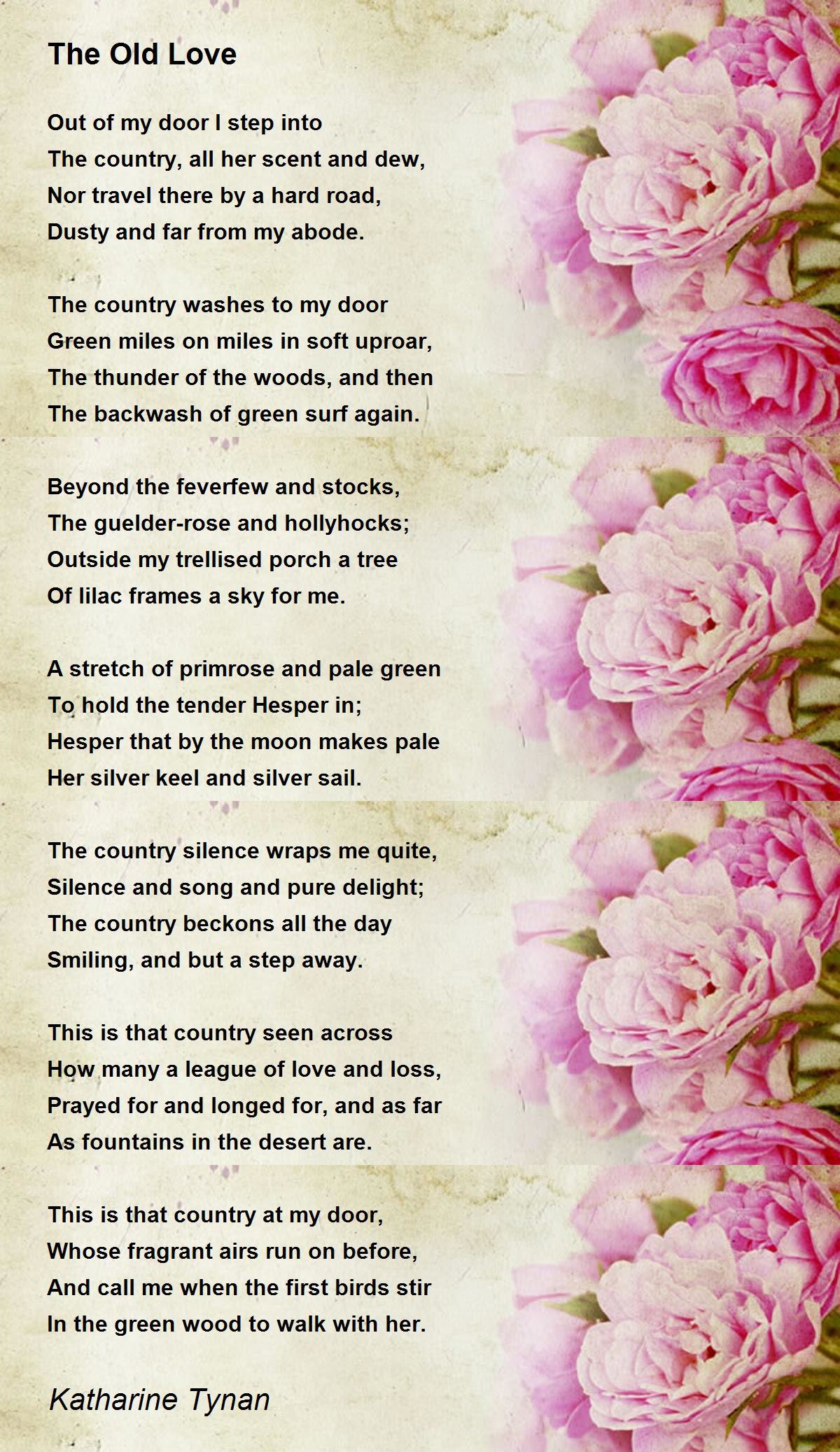 Poem love and old lady essay 04 image
