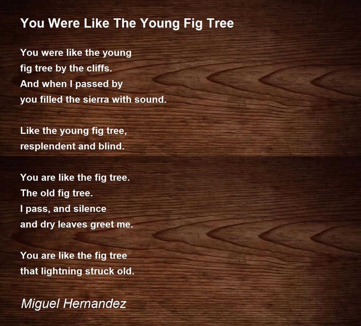 You Were Like The Young Fig Tree You Were Like The Young Fig Tree