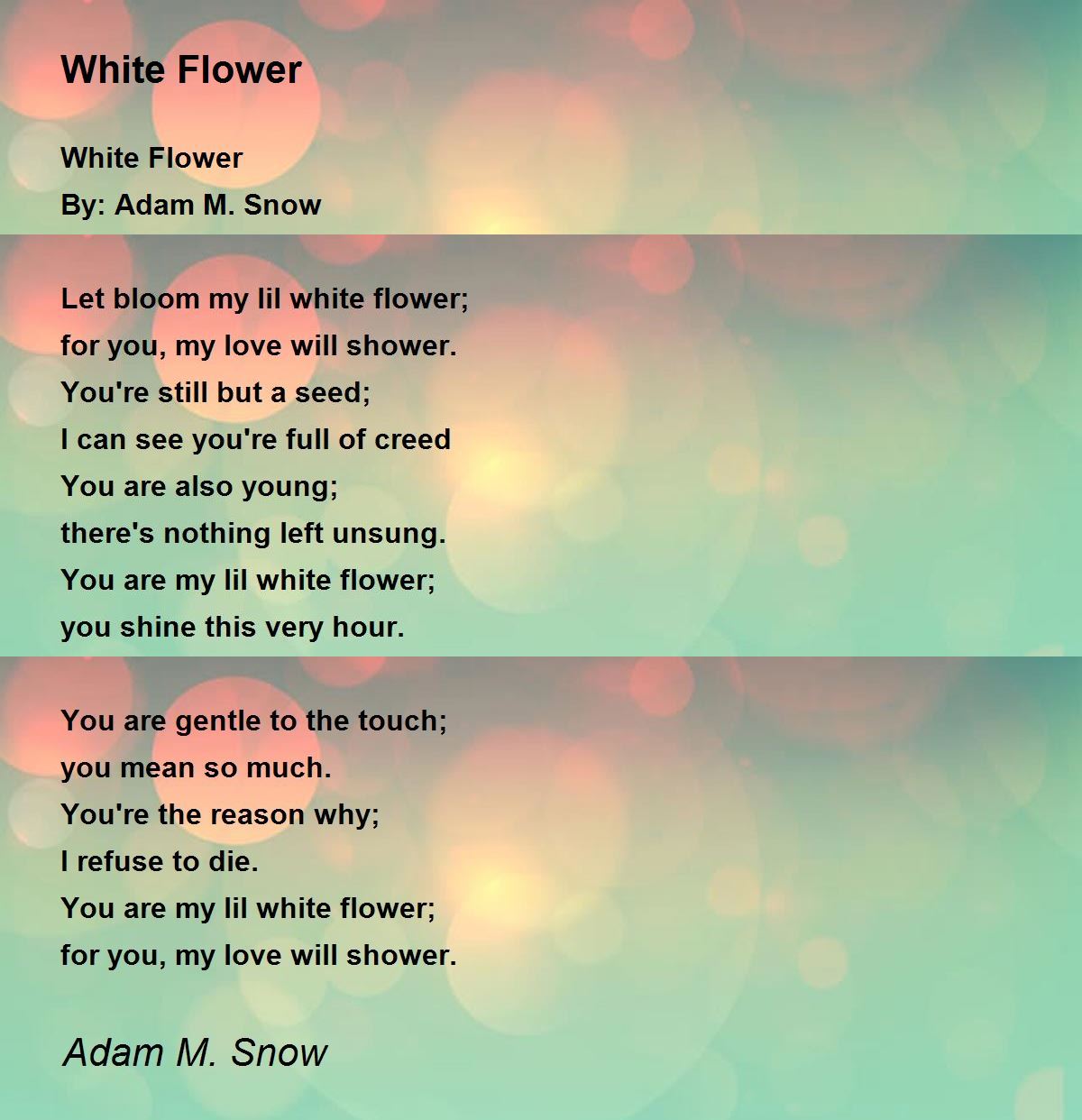 White Flower White Flower Poem by Adam M Snow