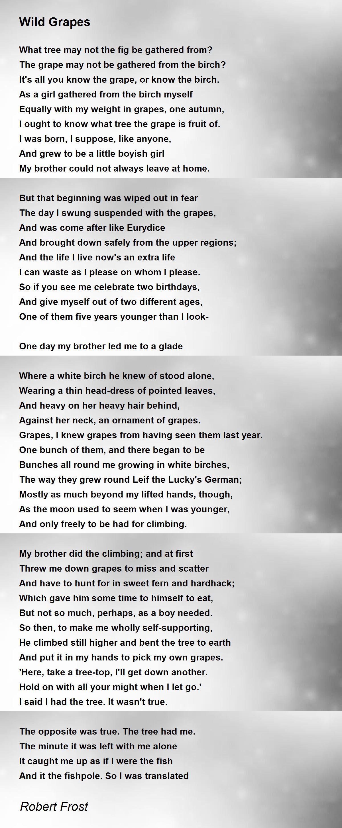 Robert frost poem wild grapes essay picture