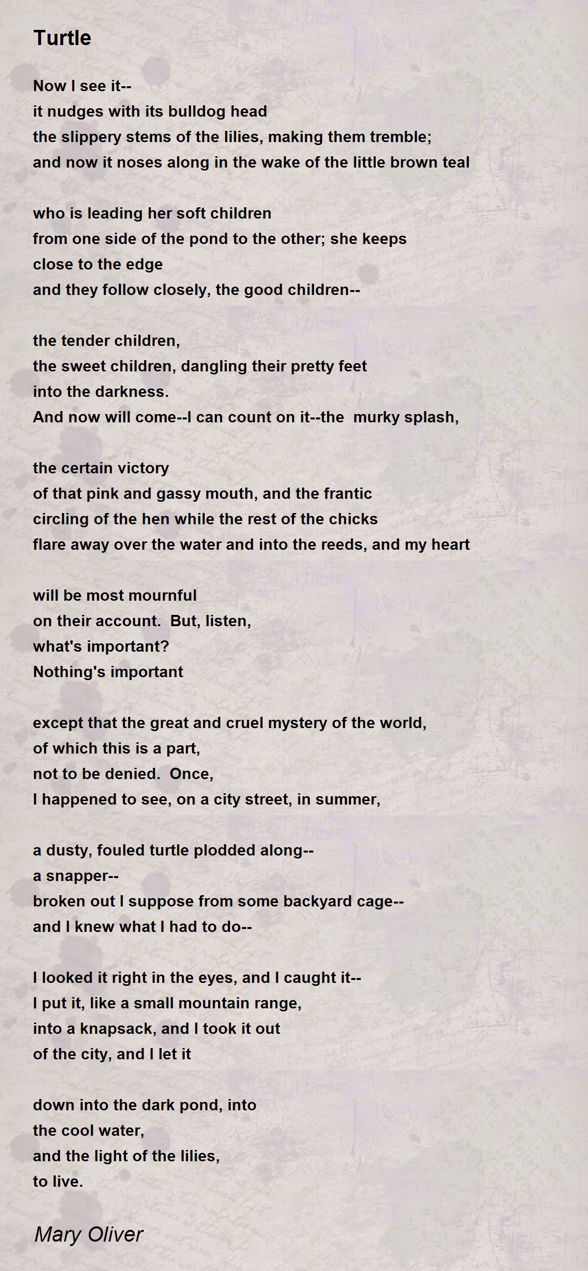 Turtle Poem by Mary Oliver Poem Hunter