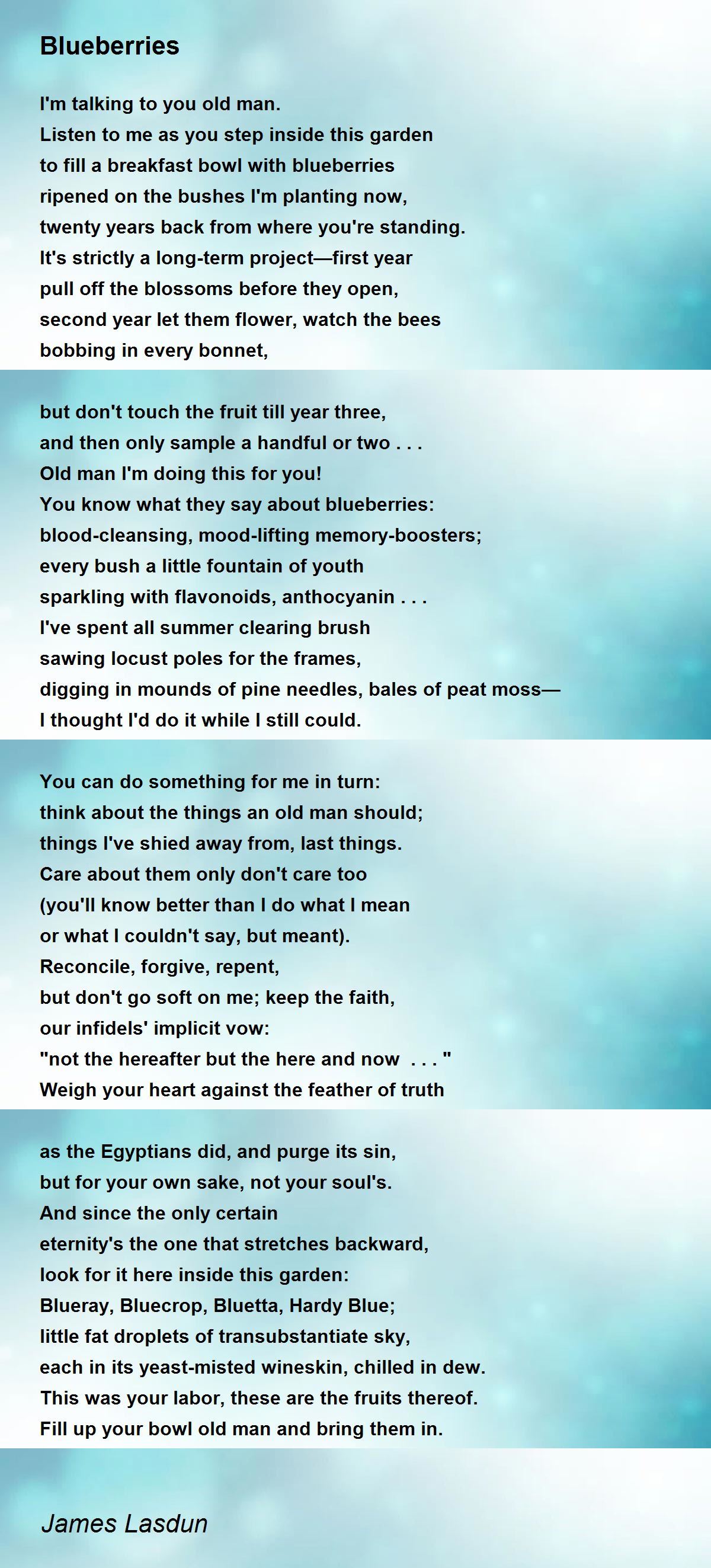 Blueberries by James Lasdun Blueberries Poem