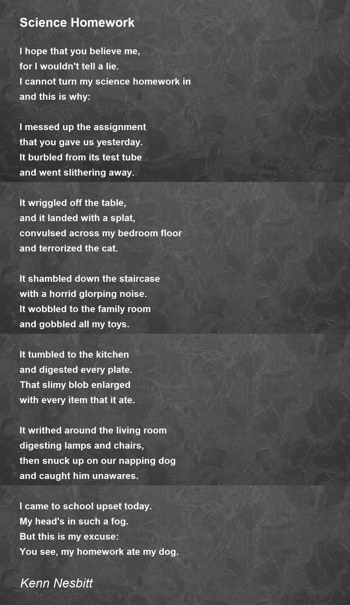 Homework Poems Poems For Homework Poem Hunter