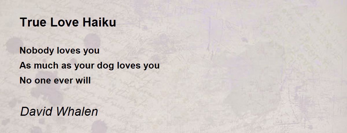 True Love Haiku - True Love Haiku Poem by David Whalen