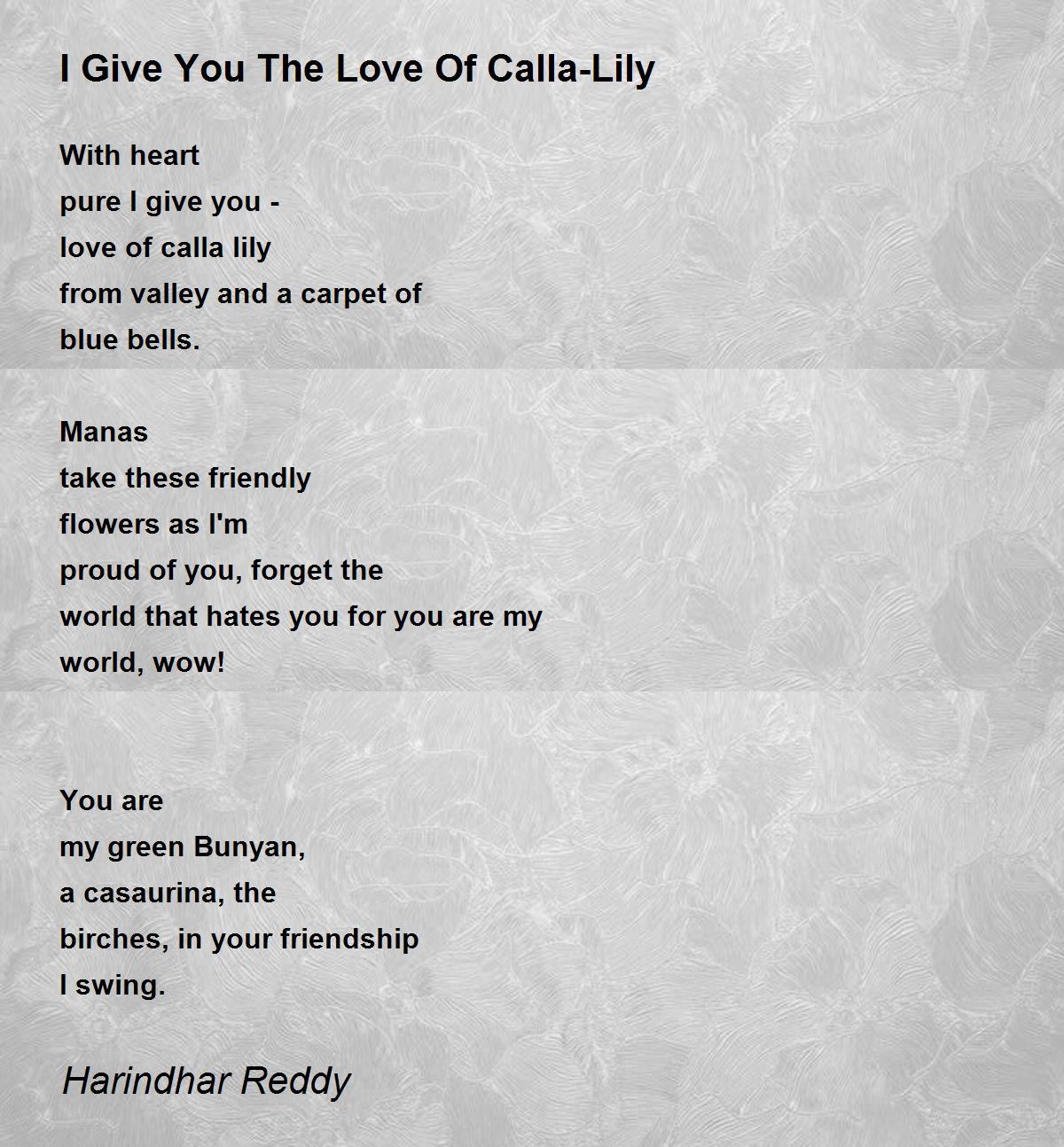 I Give You The Love Of CallaLily I Give You The Love Of CallaLily