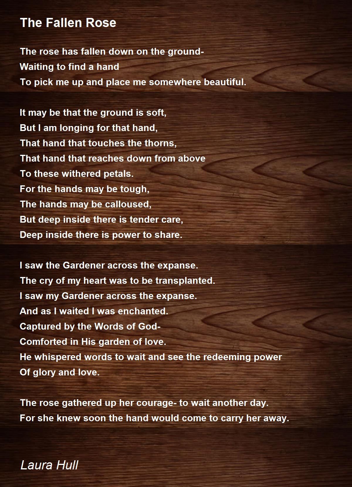 The Fallen Rose The Fallen Rose Poem by Laura Hull
