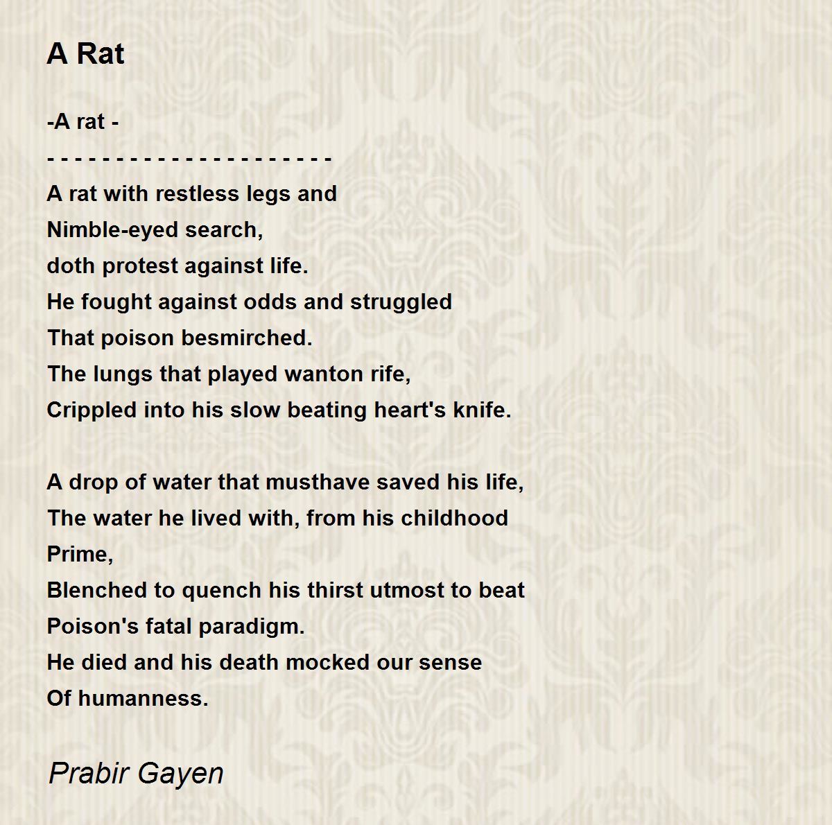 A Rat by Prabir Gayen A Rat Poem