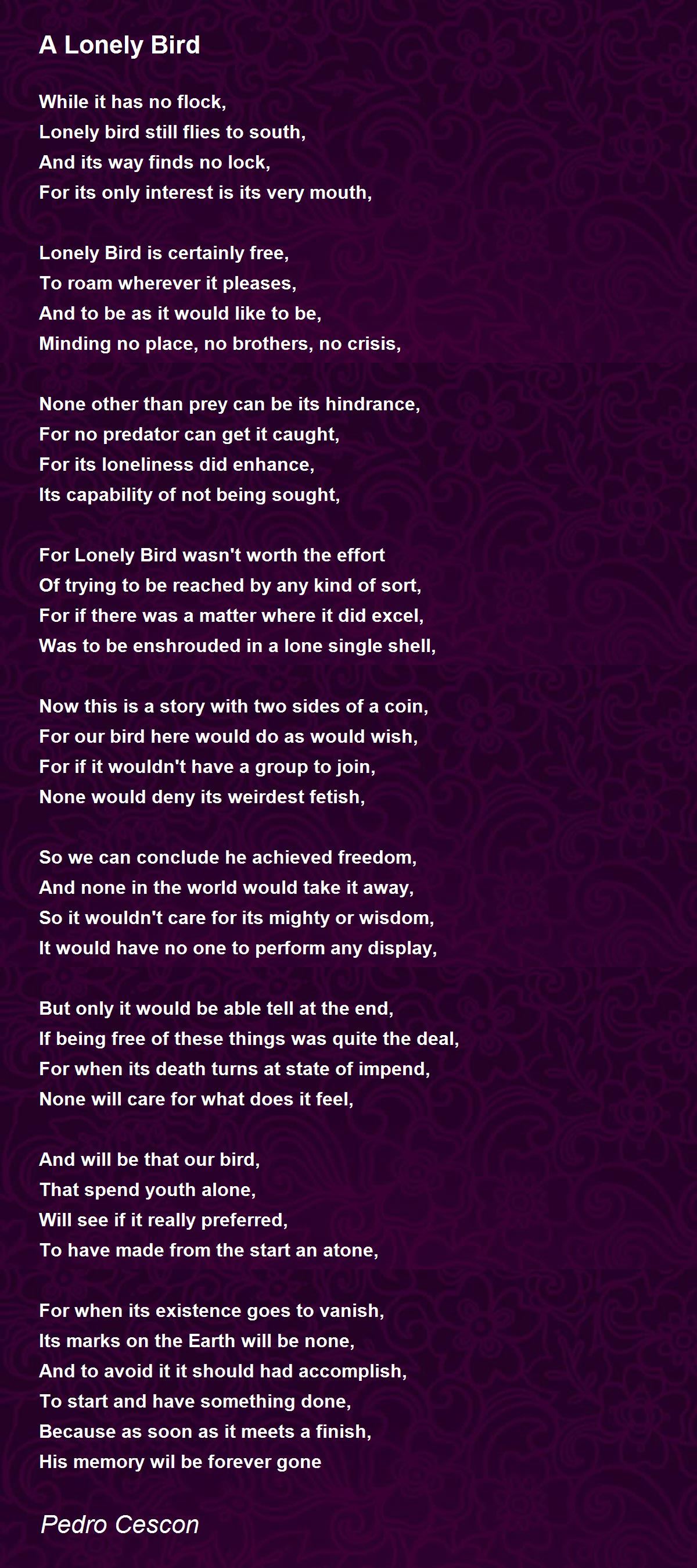 A Lonely Bird By Pedro Cescon A Lonely Bird Poem