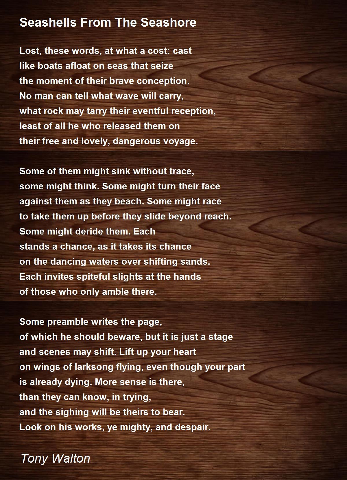 Seashells From The Seashore Seashells From The Seashore Poem by Tony