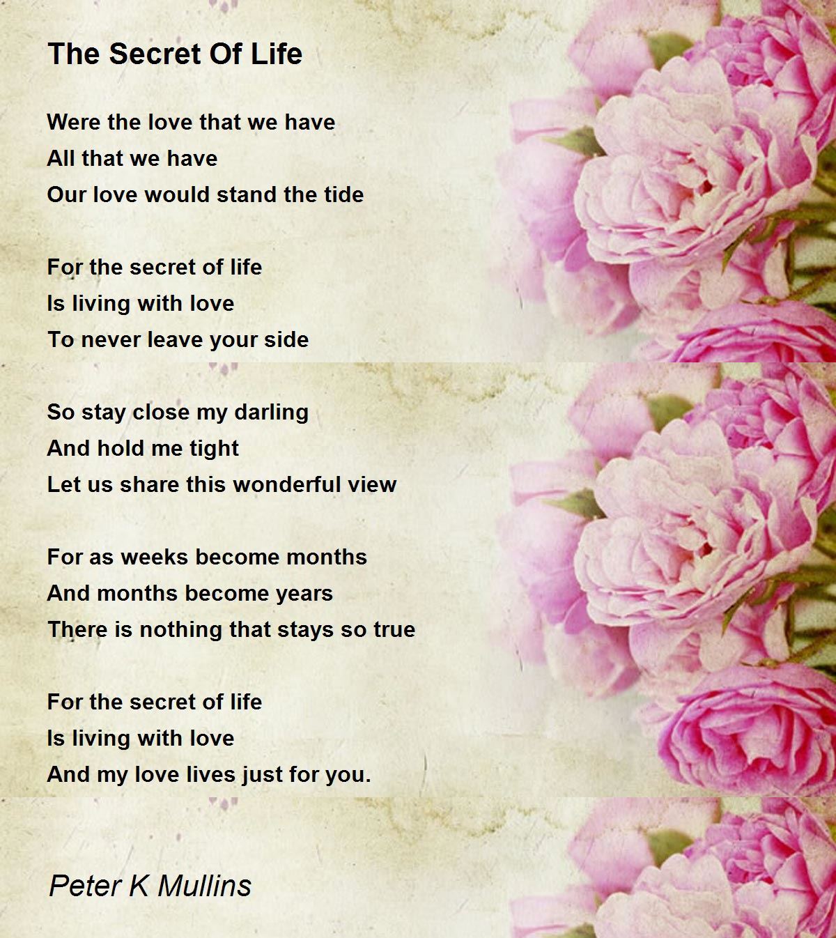 The Secret Of Life The Secret Of Life Poem by Peter K Mullins