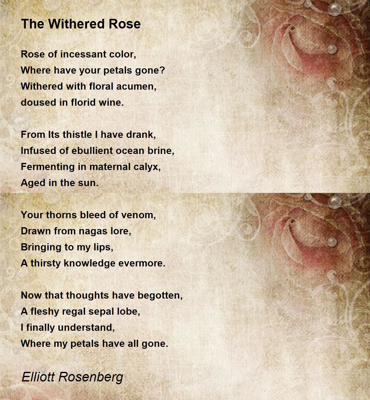 The Withered Rose - The Withered Rose Poem by Elliott Rosenberg