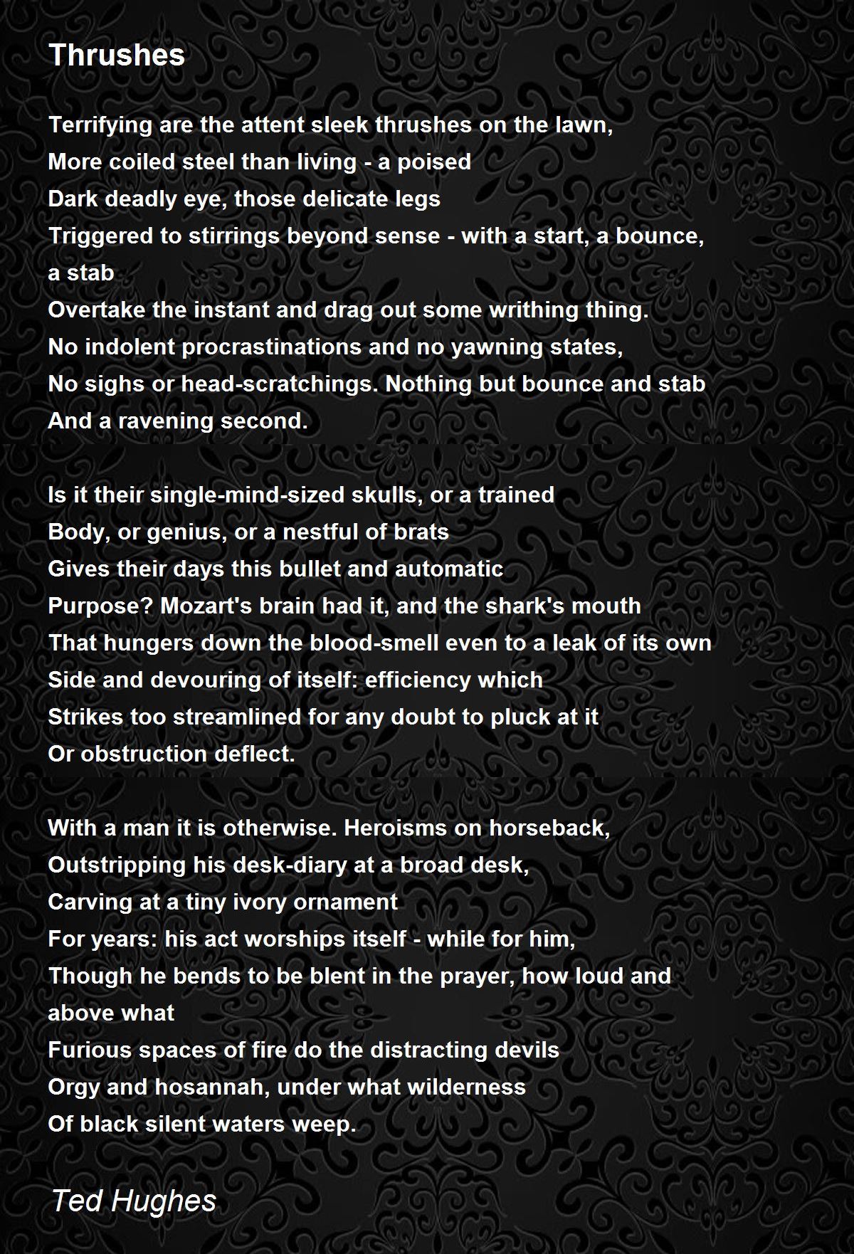 Thrushes by Ted Hughes - Thrushes Poem