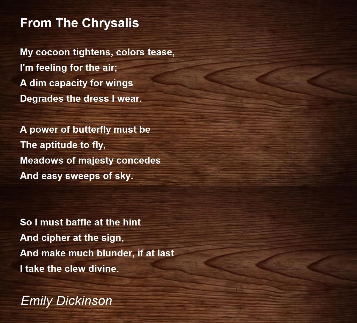 From The Chrysalis From The Chrysalis Poem by Emily Dickinson