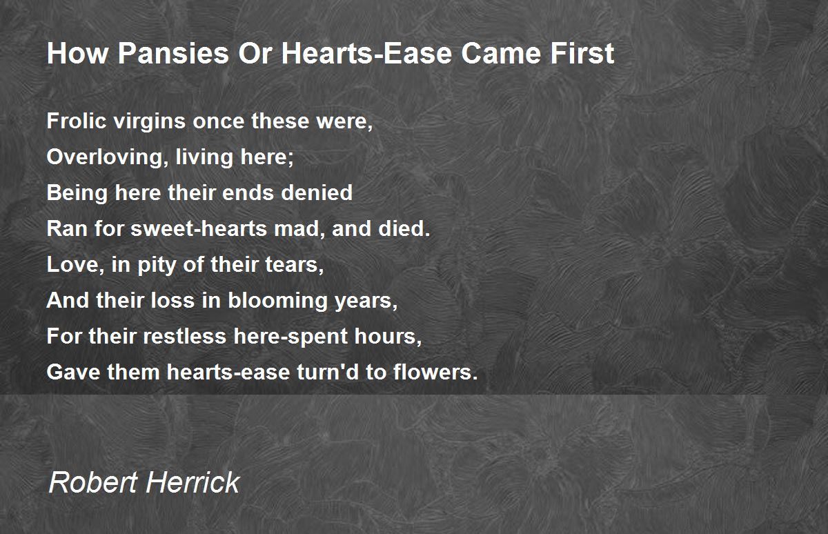 How Pansies Or HeartsEase Came First How Pansies Or HeartsEase Came