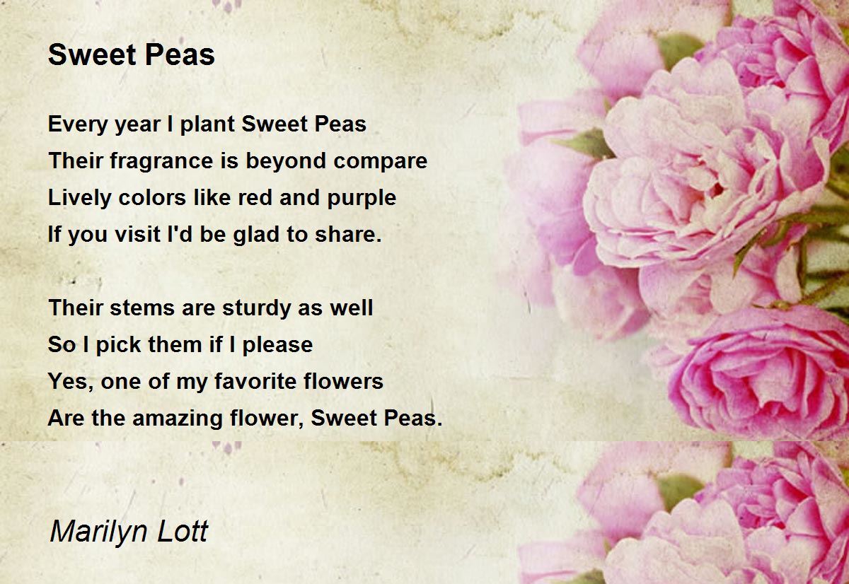Sweet Peas Sweet Peas Poem by Marilyn Lott