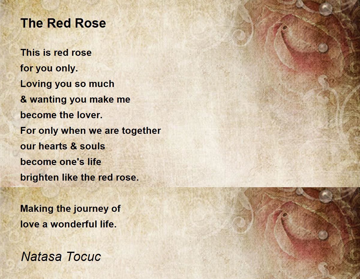 The Red Rose The Red Rose Poem by Natasa To