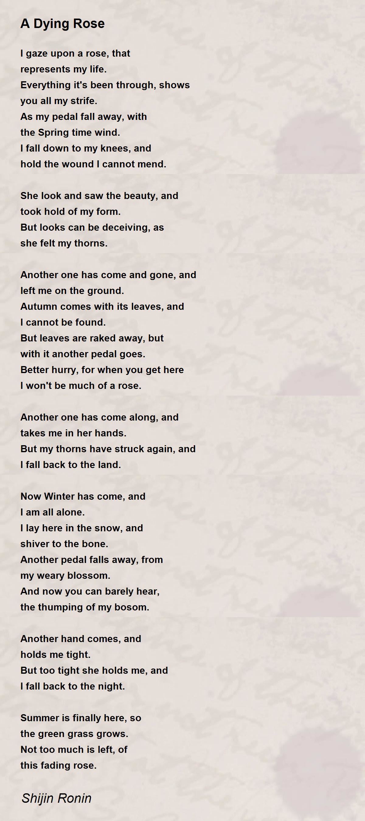 A Dying Rose A Dying Rose Poem by Shijin Ronin