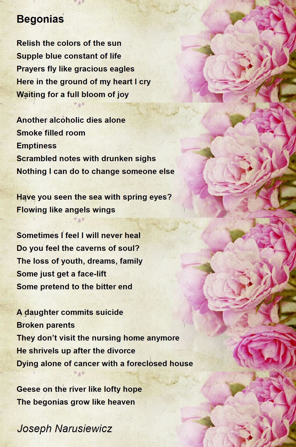 Begonias Begonias Poem by Joseph Narusiewicz