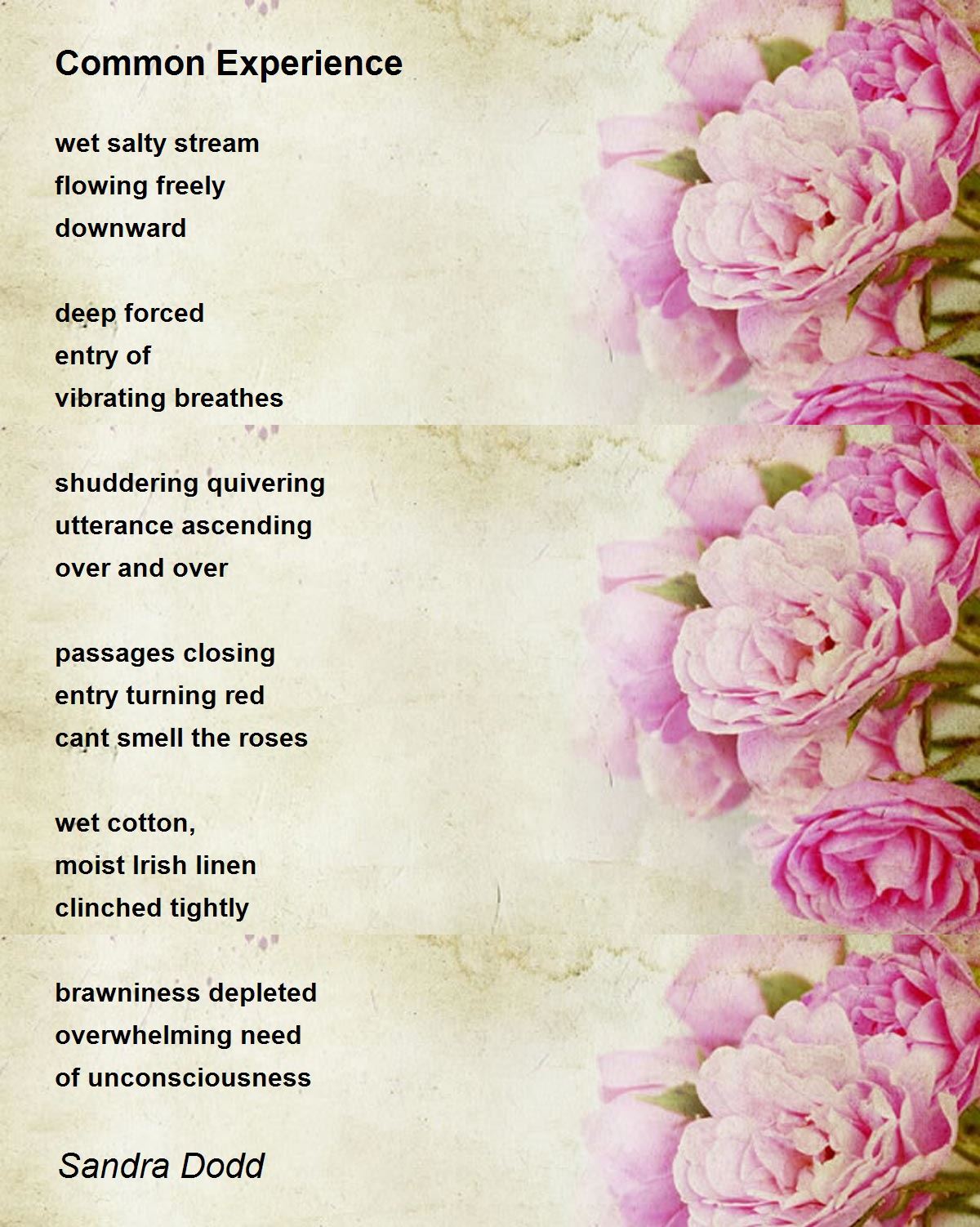 Common Experience Common Experience Poem by Sandra Dodd