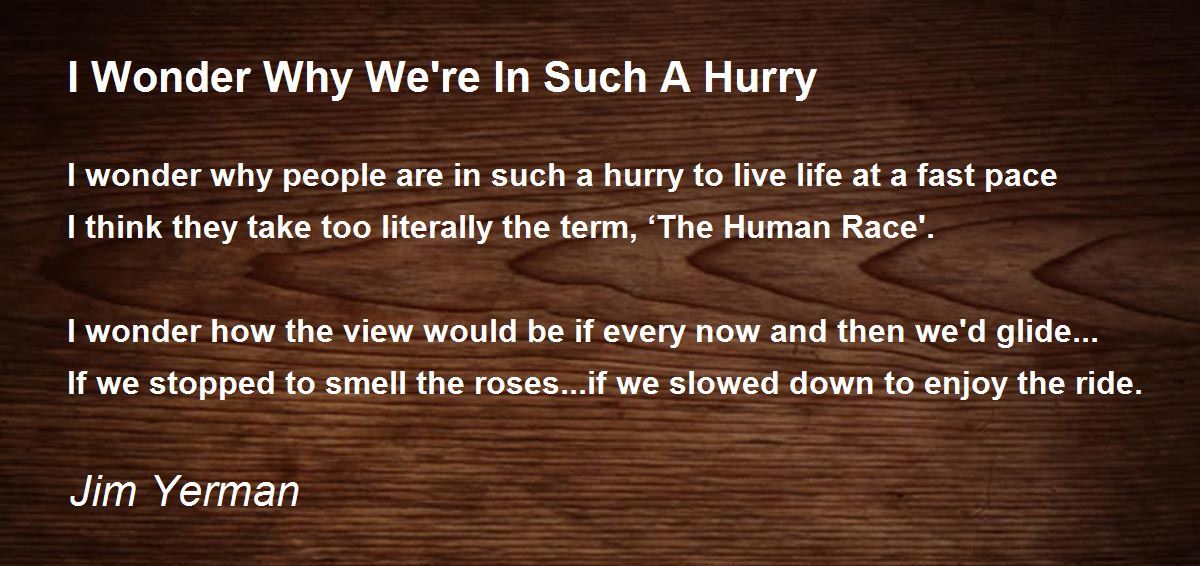 I Wonder Why We're In Such A Hurry by Jim Yerman - I Wonder Why We're ...