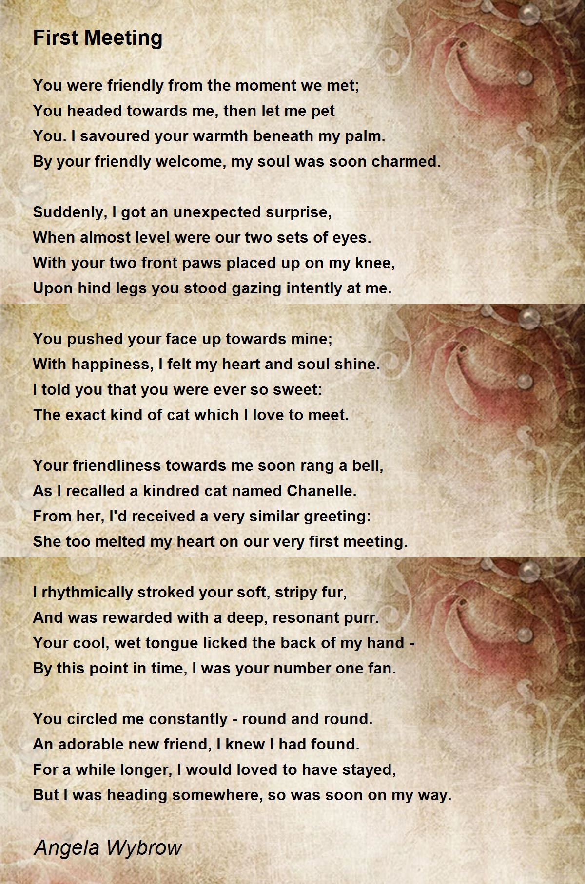 First Meeting First Meeting Poem by Angela Wybrow