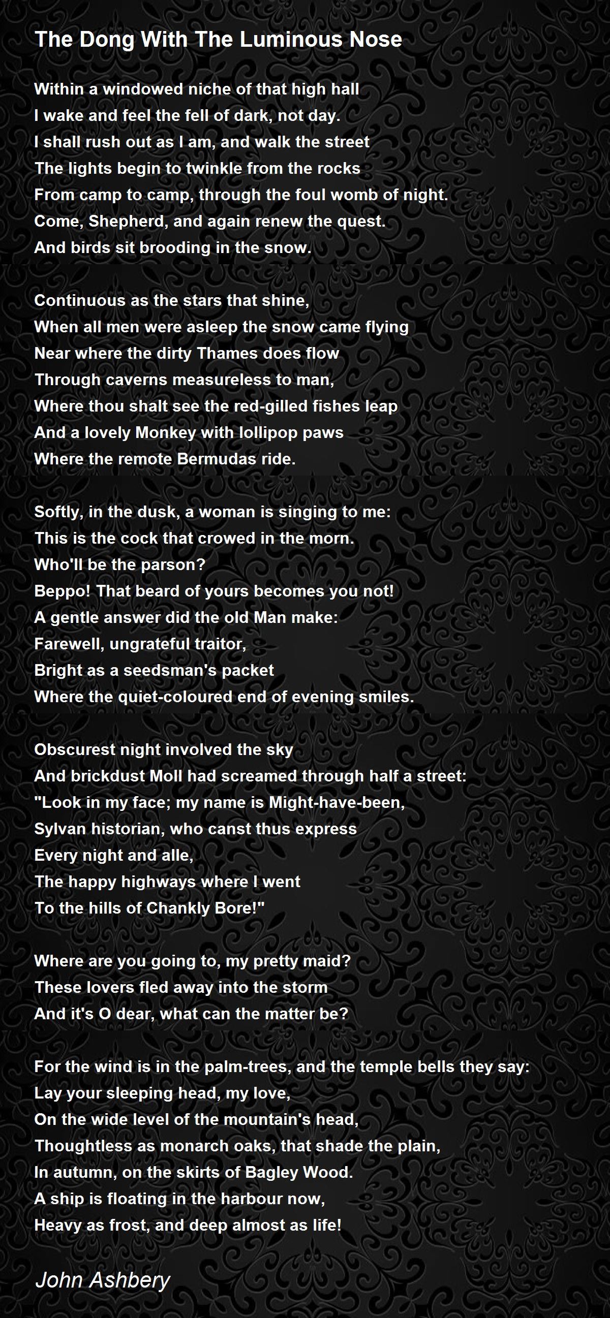 The Dong With The Luminous Nose Poem By John Ashbery Poem Hunter