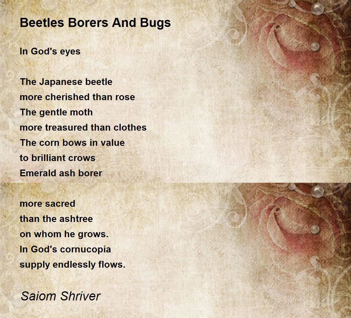 Beetles Borers And Bugs by Saiom Shriver Beetles Borers And Bugs Poem