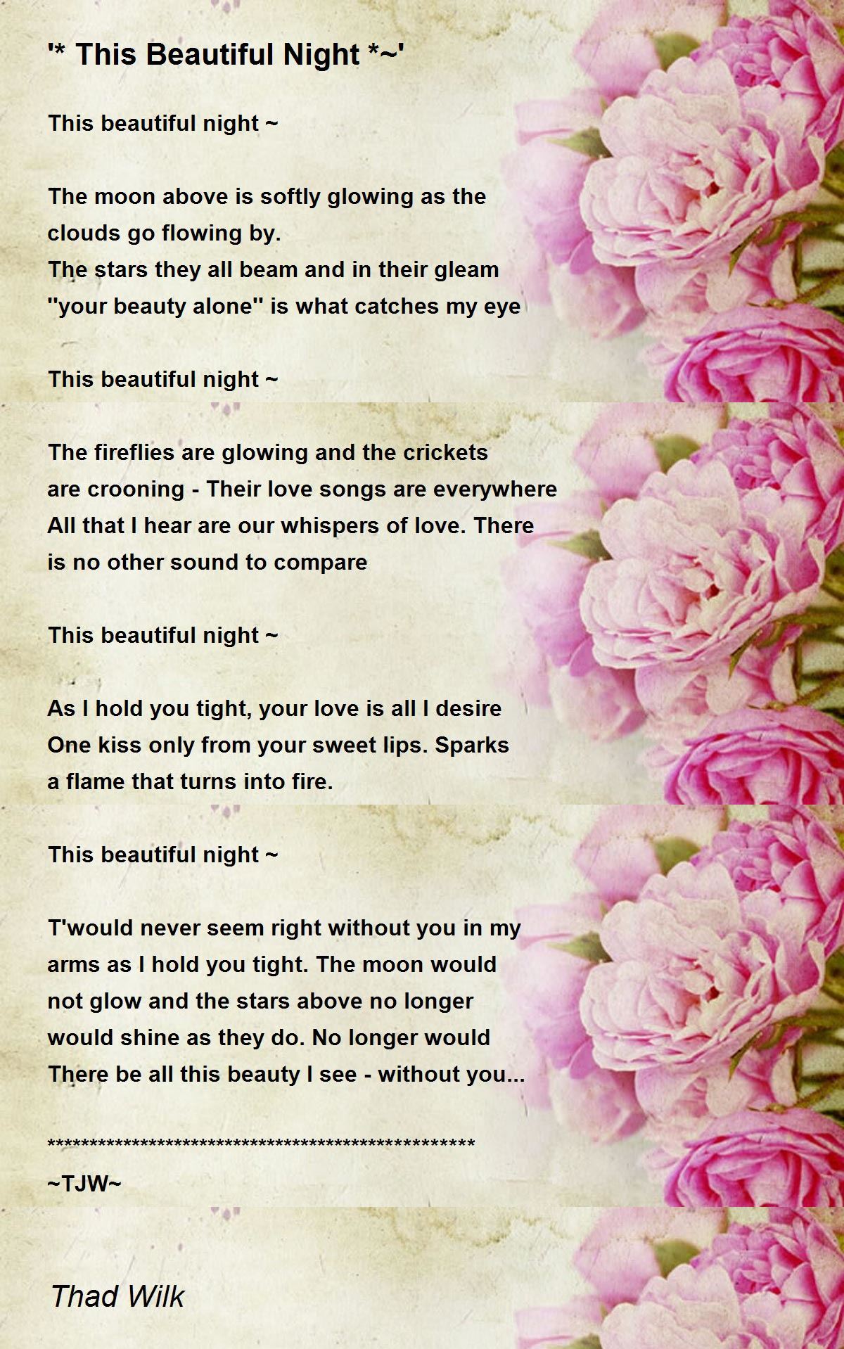 '* This Beautiful Night *' '* This Beautiful Night *' Poem by Thad Wilk