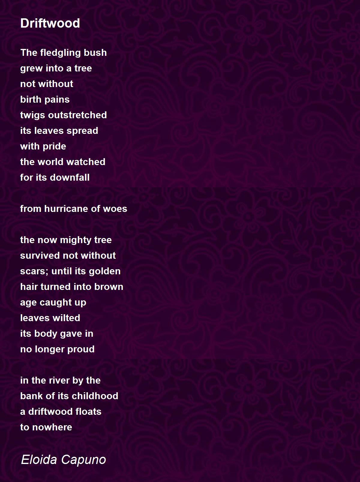 Driftwood Poem by Eloida Capuno Poem Hunter