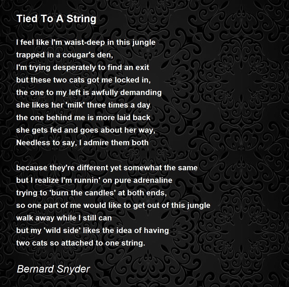 Tied To A String Tied To A String Poem by Bernard Snyder