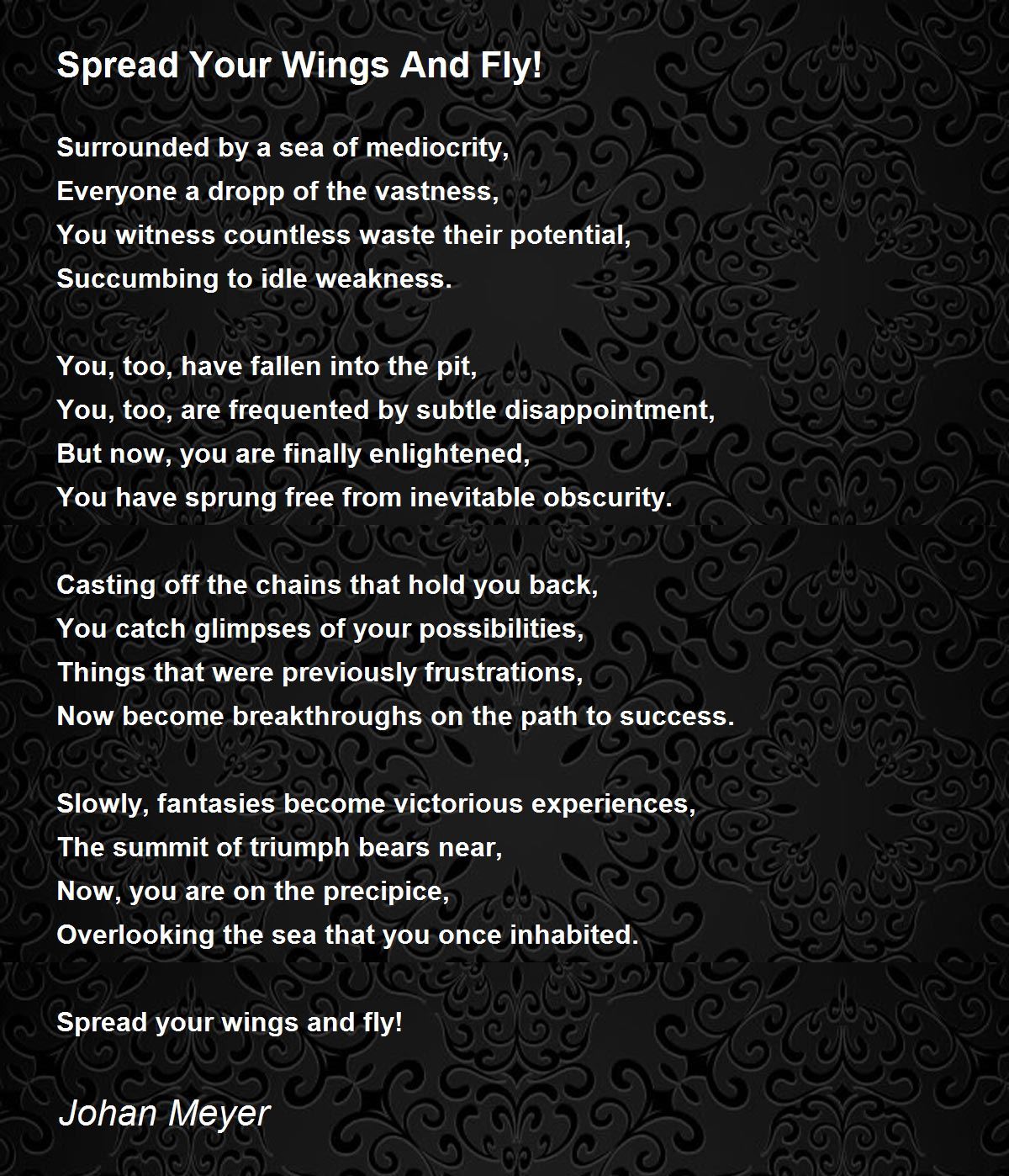Spread Your Wings And Fly! Spread Your Wings And Fly! Poem by Johan Meyer
