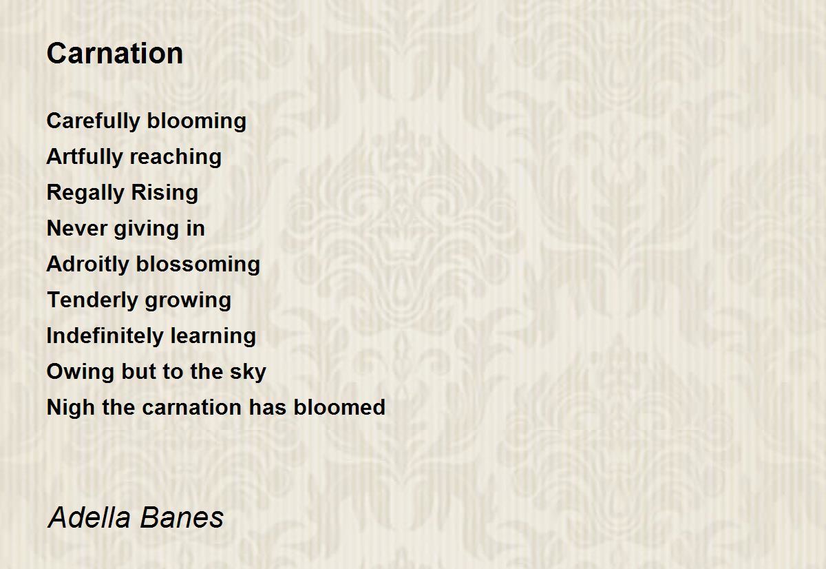 Carnation Carnation Poem by Adamae Liege