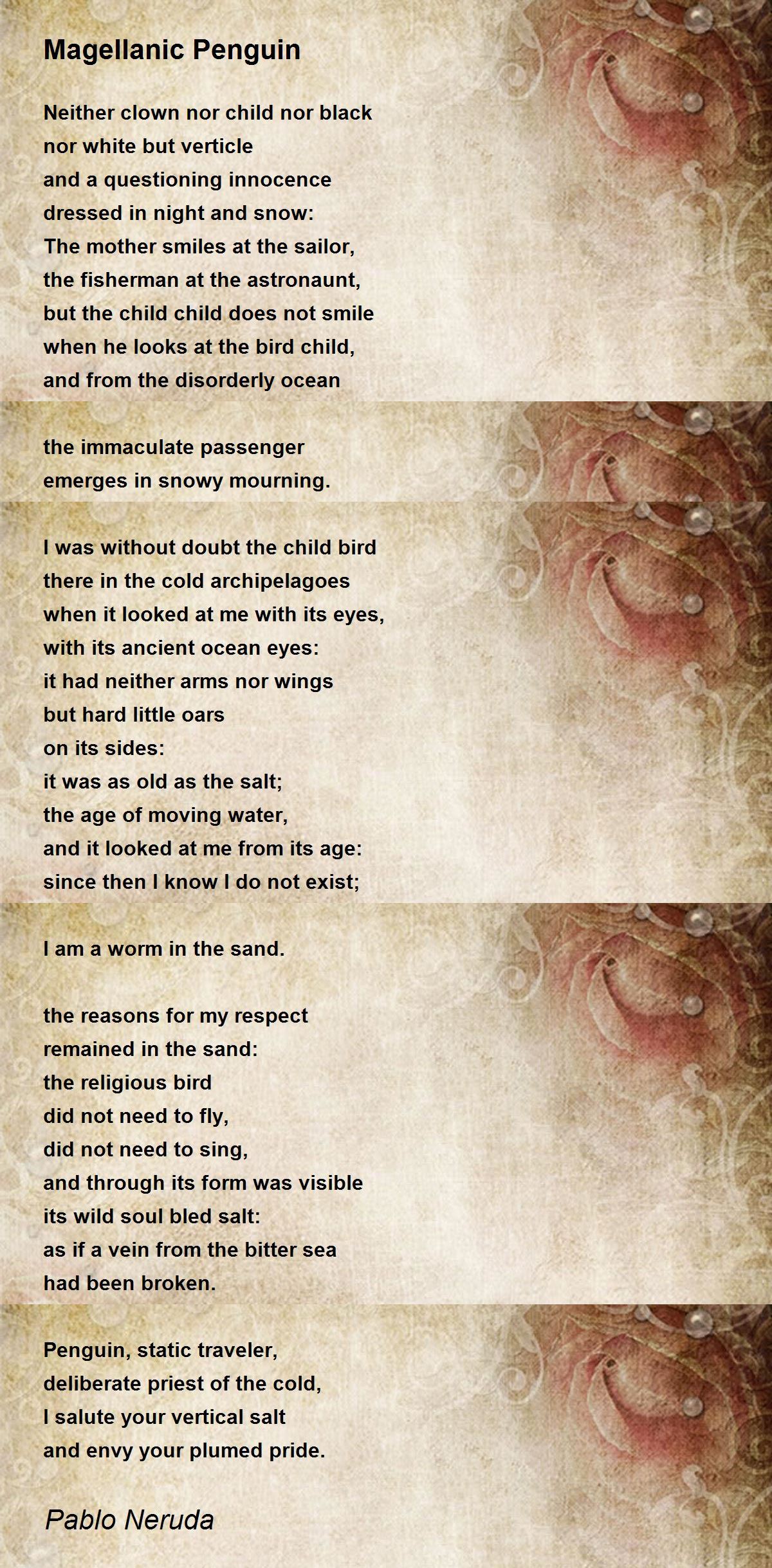 Magellanic Penguin Poem by Pablo Neruda - Poem Hunter
