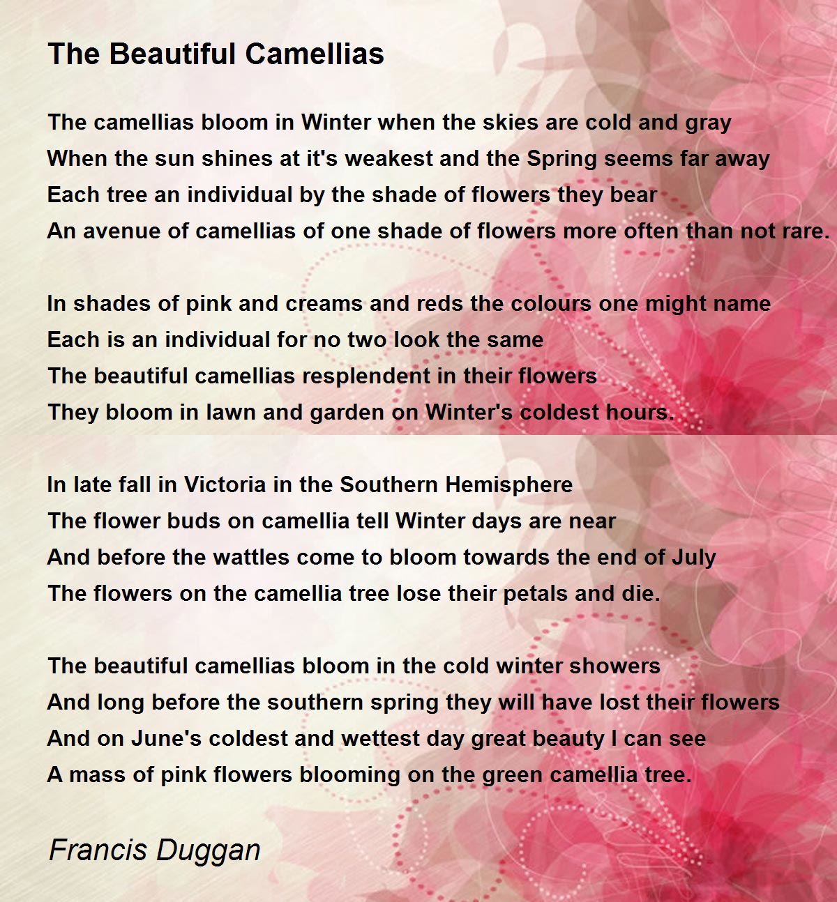 The Beautiful Camellias The Beautiful Camellias Poem by Francis Duggan
