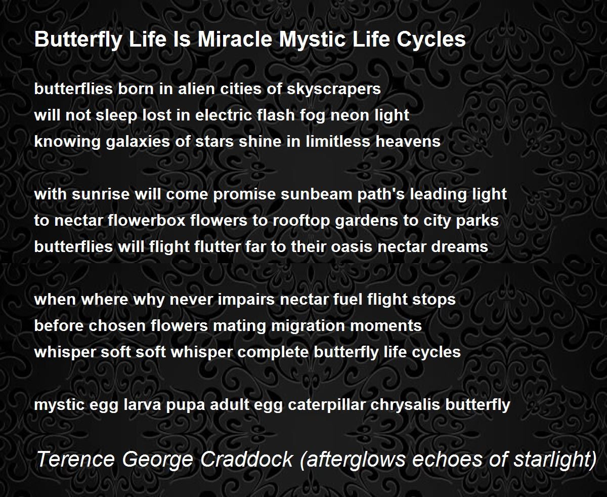 Butterfly Life Is Miracle Mystic Life Cycles Butterfly Life Is