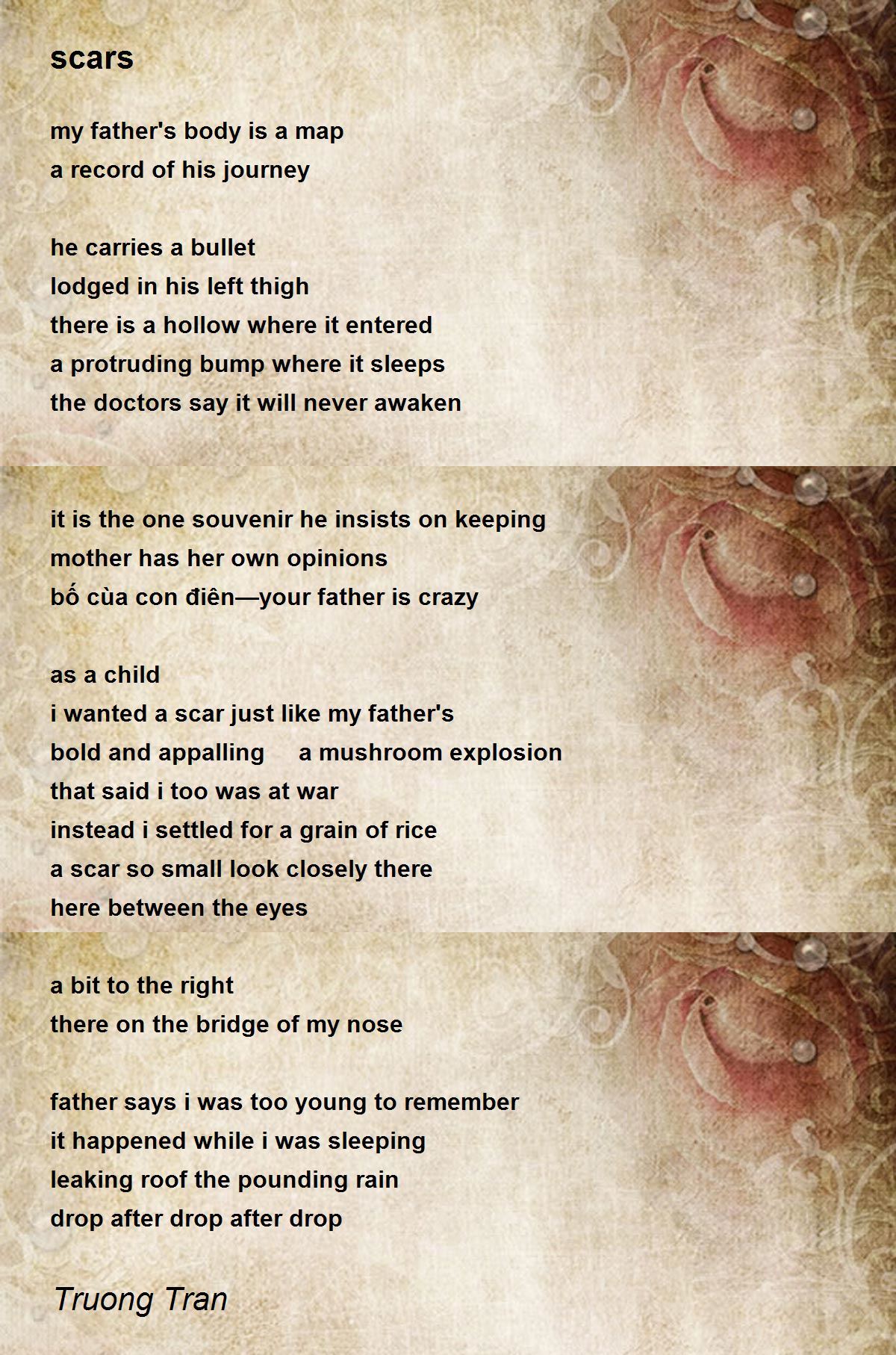 scars by Truong Tran scars Poem