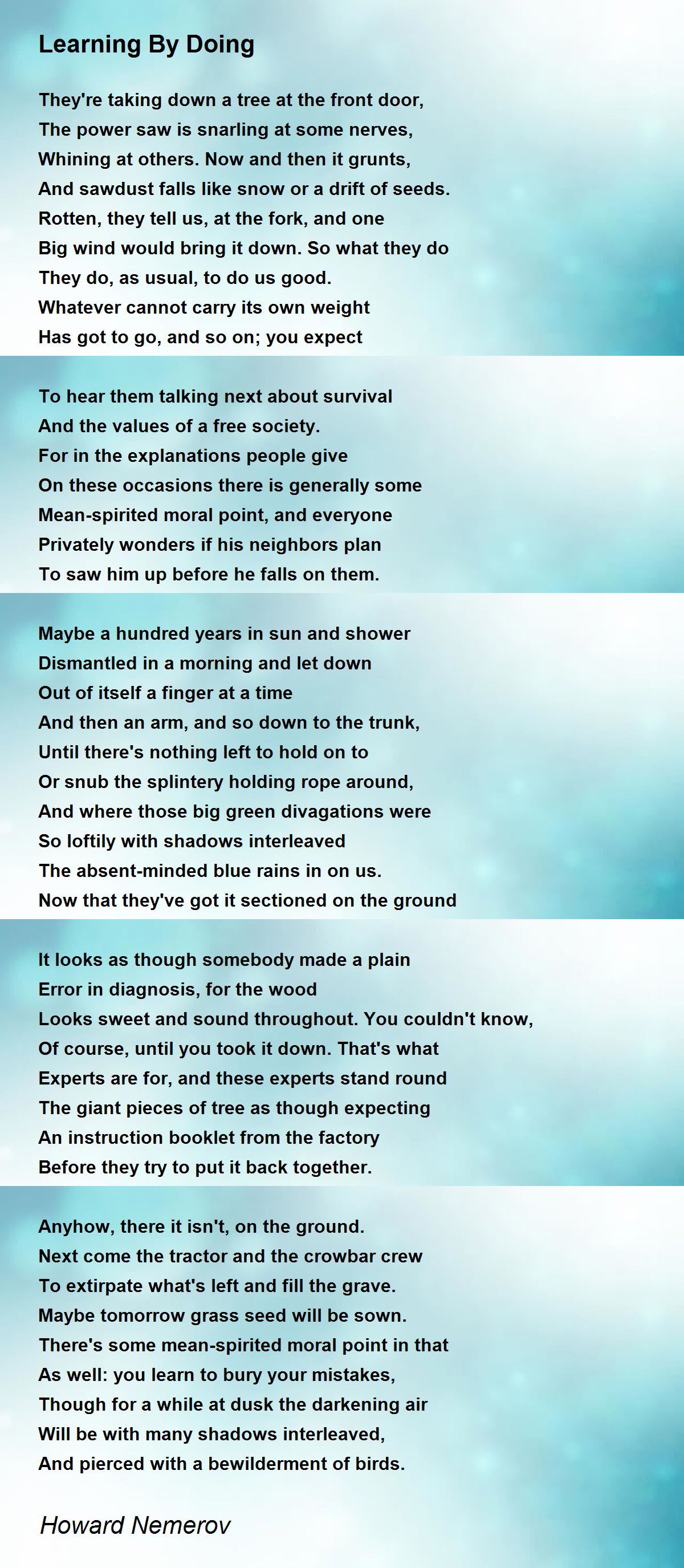 Learning By Doing Poem by Howard Nemerov - Poem Hunter