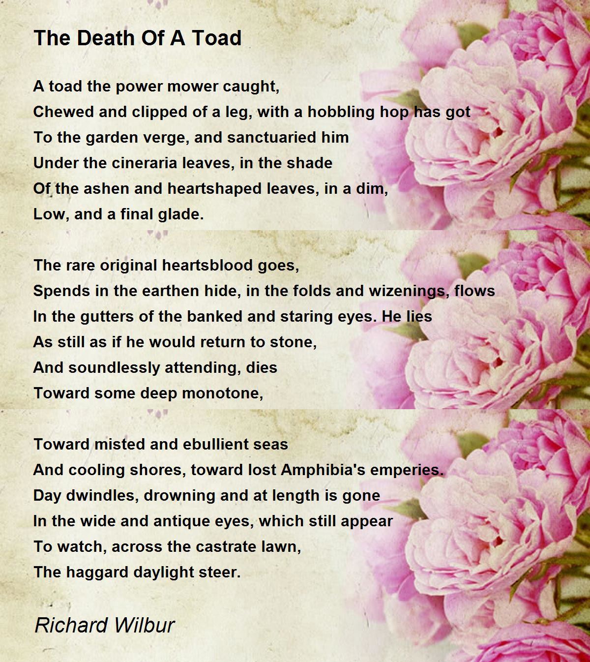 The Death Of A Toad The Death Of A Toad Poem by Richard Wilbur
