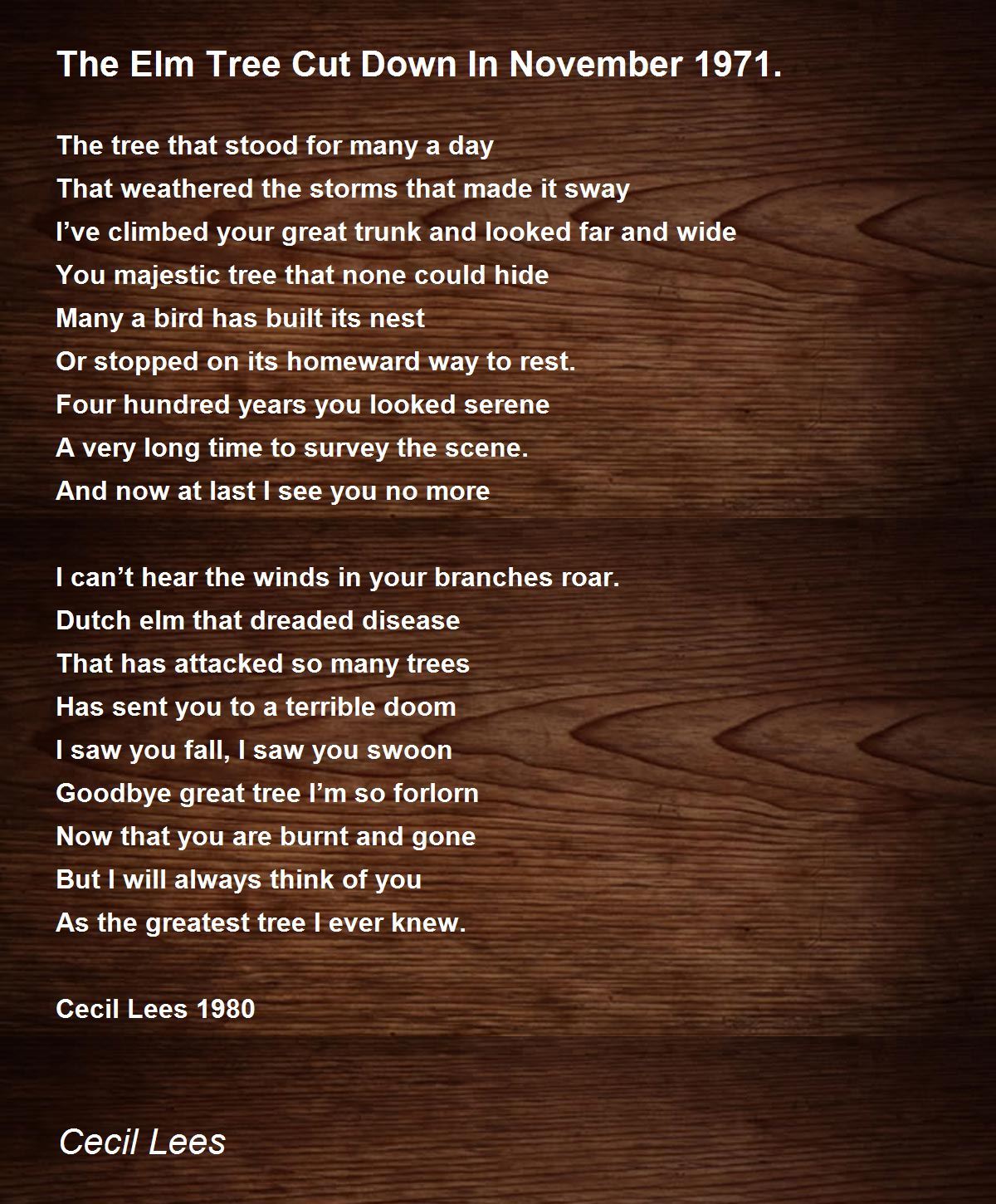 The Elm Tree Cut Down In November 1971. The Elm Tree Cut Down In