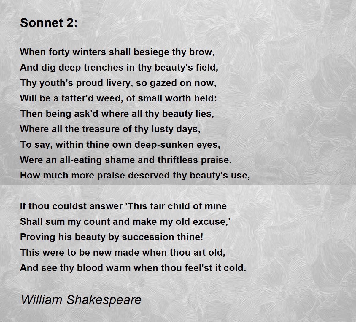 Shakespeares Exploration in Sonnet 2 of the
