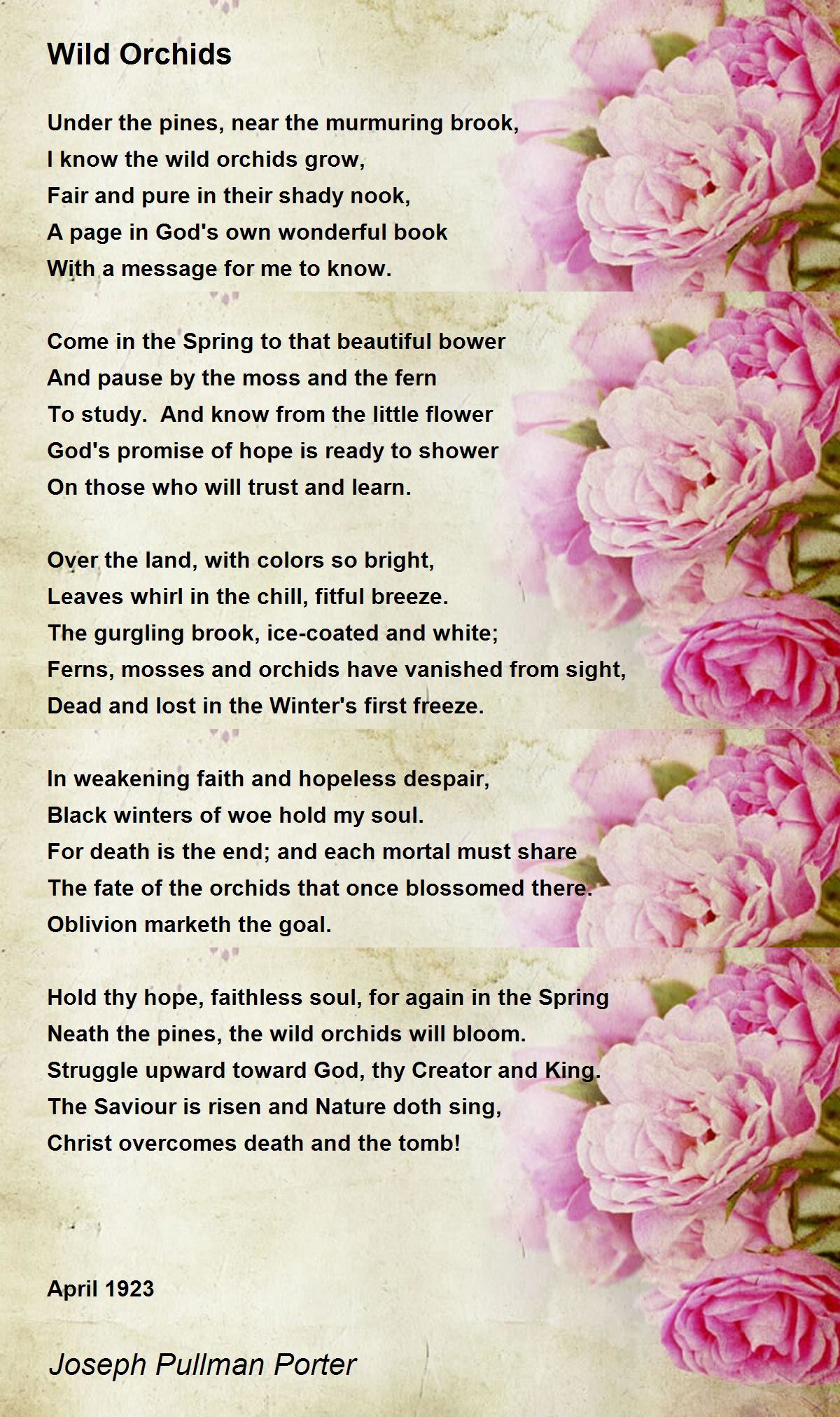 Wild Orchids Wild Orchids Poem by Joseph Pullman Porter